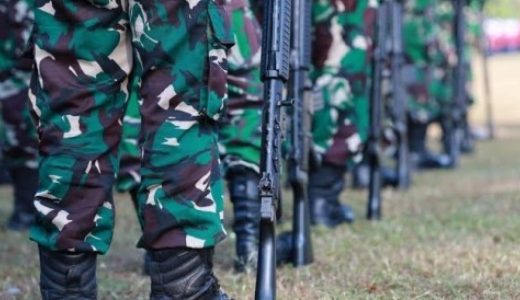 12979-ilustrasi-tni-ist