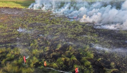 30339-kebakaran-hutan-dan-lahan-yang-terjadi-di-sumatera-selatan