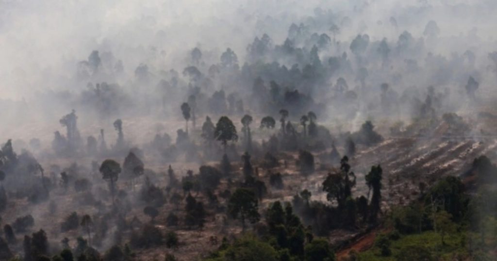 74587-foto-udara-kebakaran-hutan-dan-lahan-gambut-di-kabupaten-kayong-utara