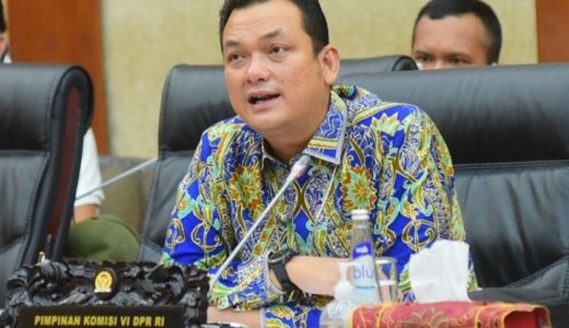 23015-wakil-ketua-komisi-vi-dpr-ri-martin-manurung