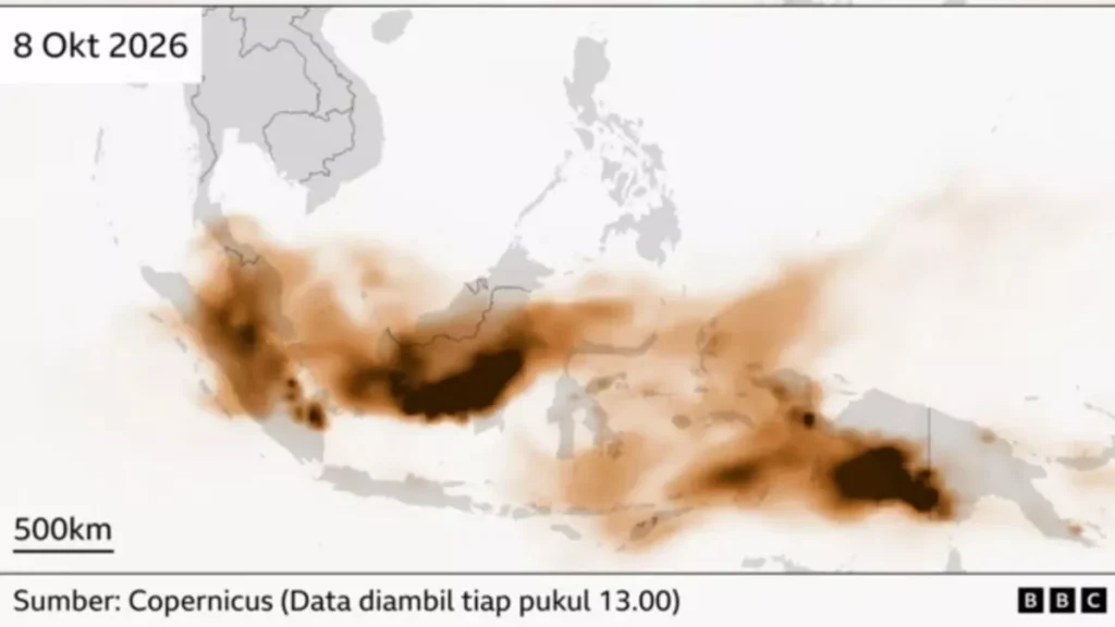 54683-media-asing-bbc-membongkar-parahnya-kebakaran-hutan-papua-yang-dipicu-proyek-strategis-nasional
