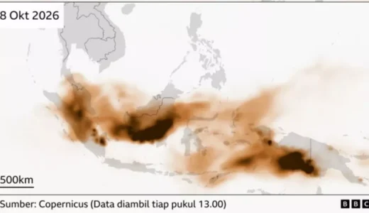 54683-media-asing-bbc-membongkar-parahnya-kebakaran-hutan-papua-yang-dipicu-proyek-strategis-nasional