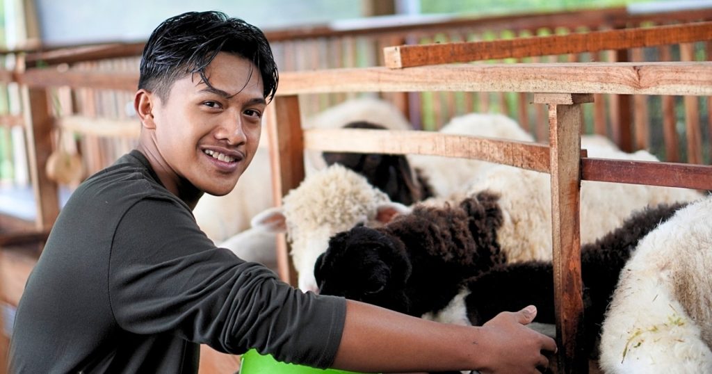 64322-peternakan-domba-dan-kambing-di-kecamatan-selo-kabupaten-boyolali