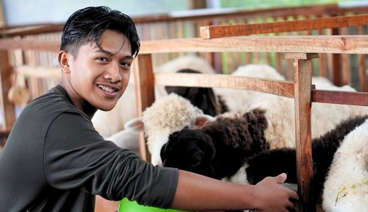 64322-peternakan-domba-dan-kambing-di-kecamatan-selo-kabupaten-boyolali