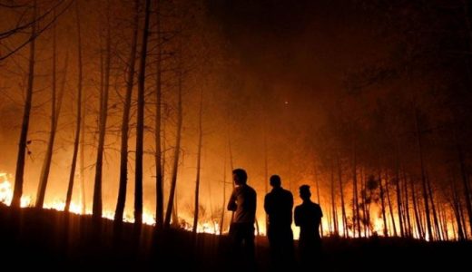 14362-ilustrasi-kebakaran-hutan-dan-lahan-istimewa