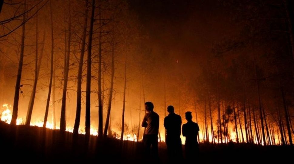 14362-ilustrasi-kebakaran-hutan-dan-lahan-istimewa