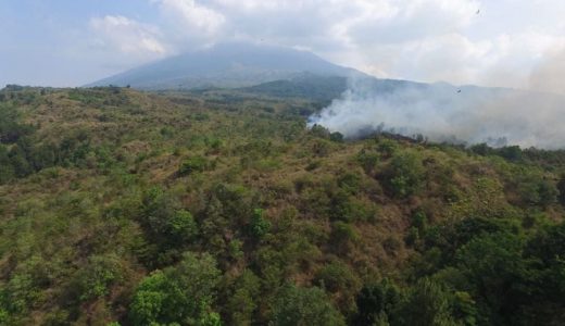 52134-taman-nasional-gunung-ciremai-ilustrasi-hutan-ilustrasi-kebakaran-hutan