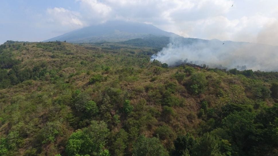 52134-taman-nasional-gunung-ciremai-ilustrasi-hutan-ilustrasi-kebakaran-hutan