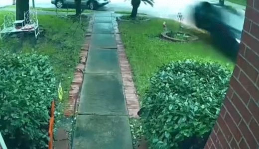 84132-sopir-tesla-ditangkap-atas-dugaan-kelalaian-fatal-yang-menewaskan-warga-di-dalam-rumahnya