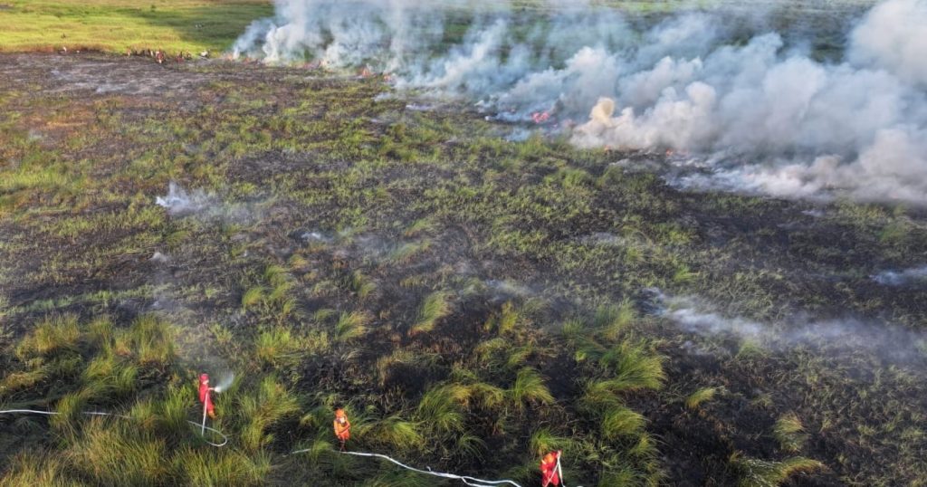 30339-kebakaran-hutan-dan-lahan-yang-terjadi-di-sumatera-selatan