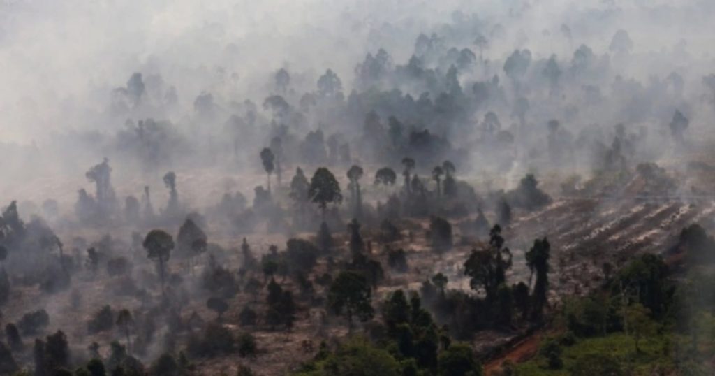 74587-foto-udara-kebakaran-hutan-dan-lahan-gambut-di-kabupaten-kayong-utara