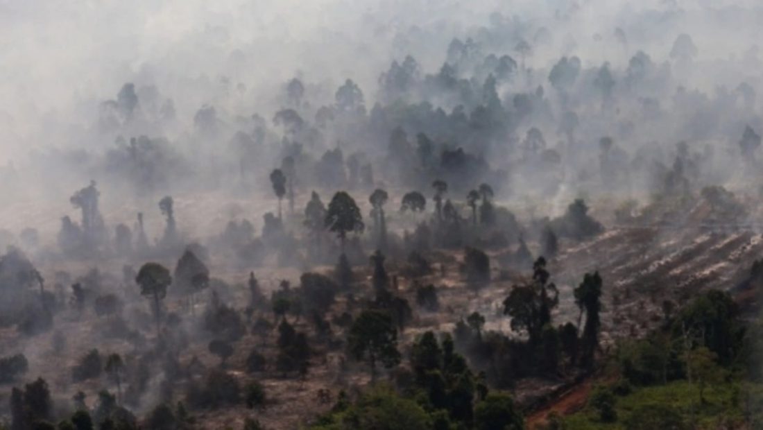 74587-foto-udara-kebakaran-hutan-dan-lahan-gambut-di-kabupaten-kayong-utara