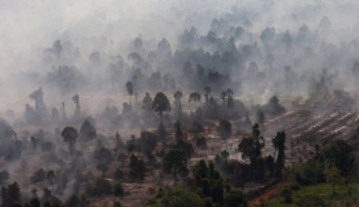 74587-foto-udara-kebakaran-hutan-dan-lahan-gambut-di-kabupaten-kayong-utara