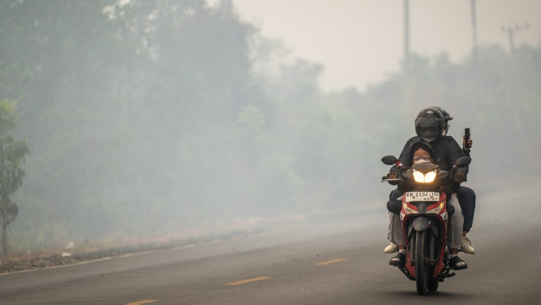 51557-kabut-asap-kalsel-kabut-asap-di-kalimantan-selatan