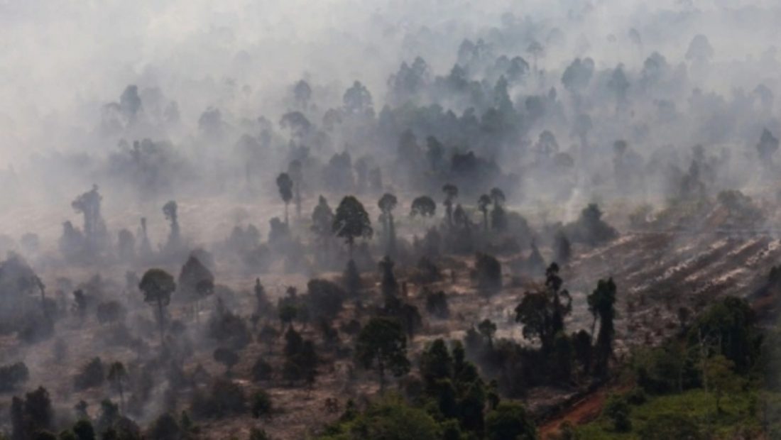 74587-foto-udara-kebakaran-hutan-dan-lahan-gambut-di-kabupaten-kayong-utara