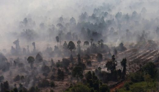 74587-foto-udara-kebakaran-hutan-dan-lahan-gambut-di-kabupaten-kayong-utara
