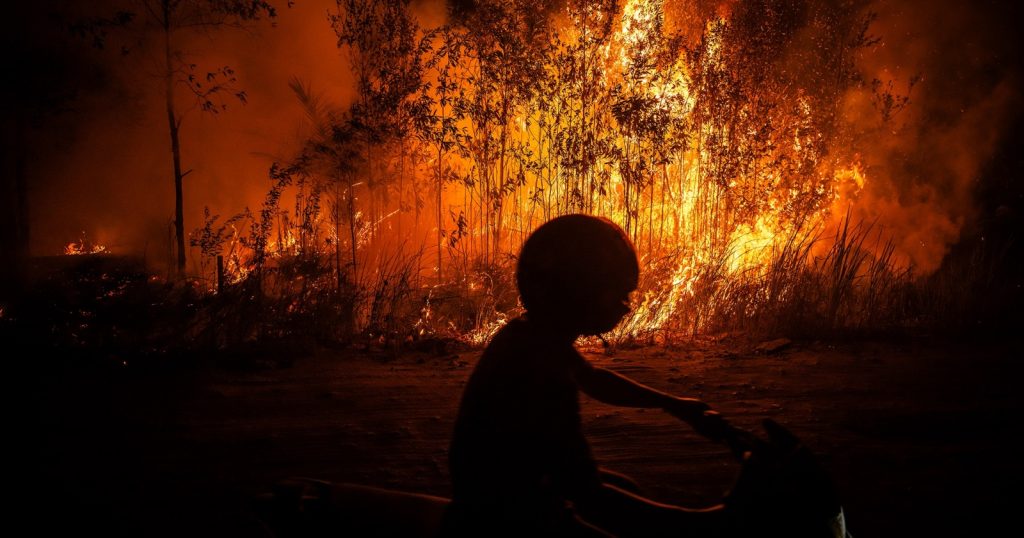 95269-karhutla-di-palangka-raya-ilustrasi-karhutla-kebakaran-hutan-dan-lahan